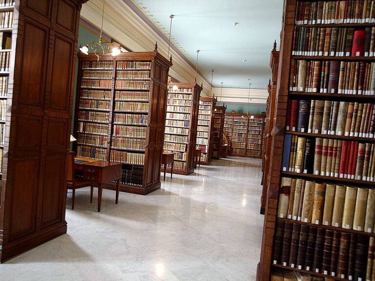 «Covidiota» y «Coronabebé»: Parte de las palabras que incluyó la RAE producto de la pandemia