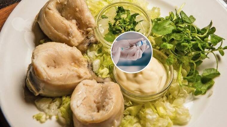Vacuna chilena hecha con proteína del “loco” muestra prometedores avances contra cáncer de piel