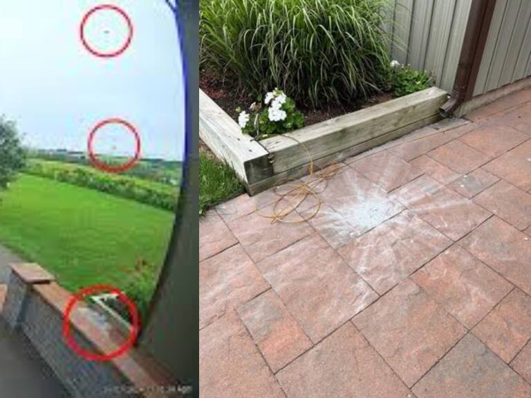 Captura - The Canadian Press