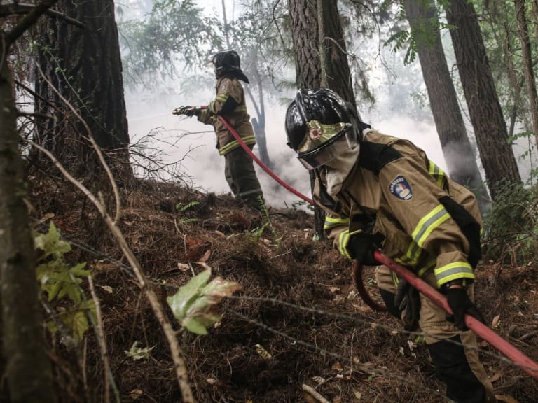 Incendios forestales en Chile: hectáreas afectadas aumentaron 244% respecto a la temporada anterior