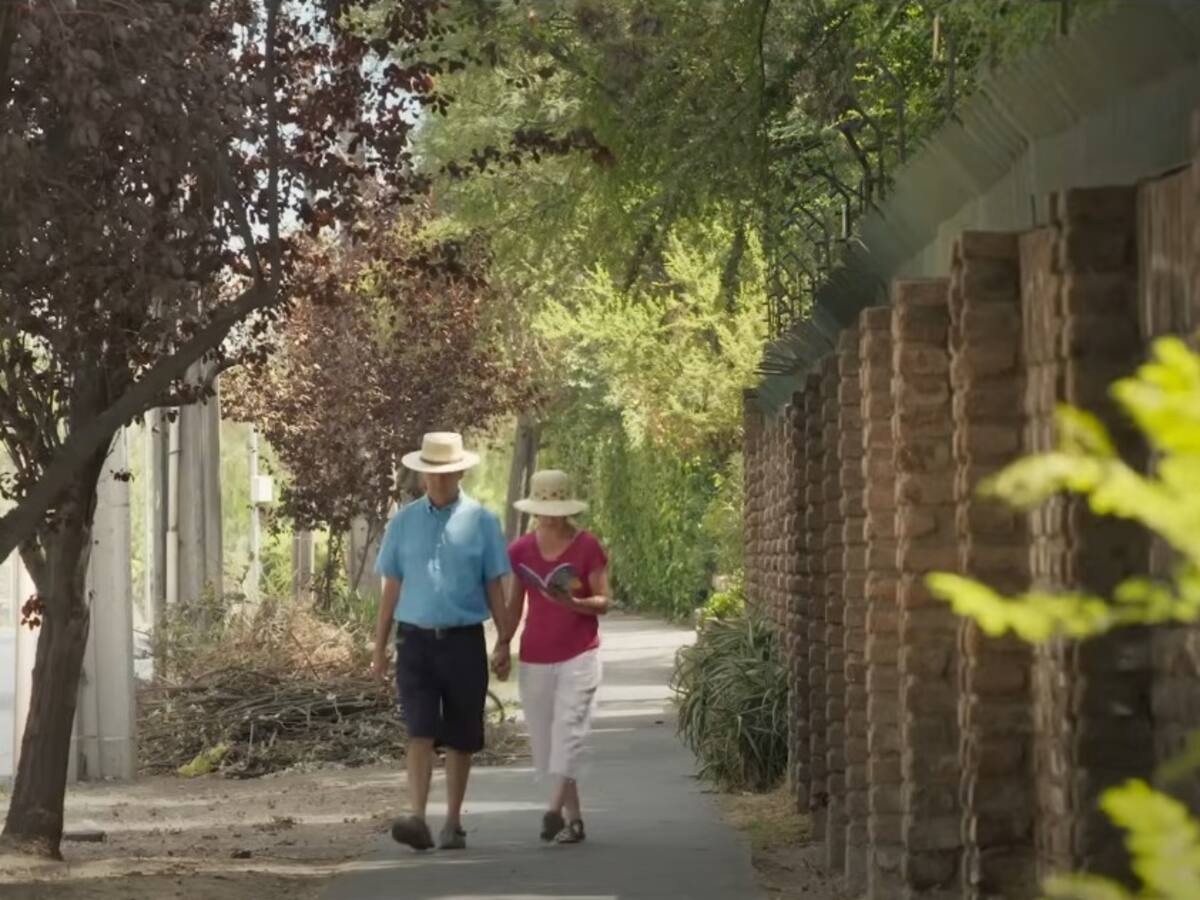 “Lloré como una niña (...) Imagínate, estaba pelada, hinchada, sin poder trabajar”