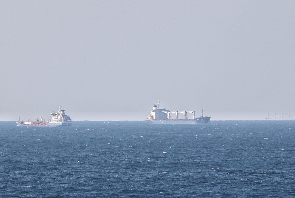 El primer barco Razoni que llega al puerto de Estambul con cereales de Ucrania