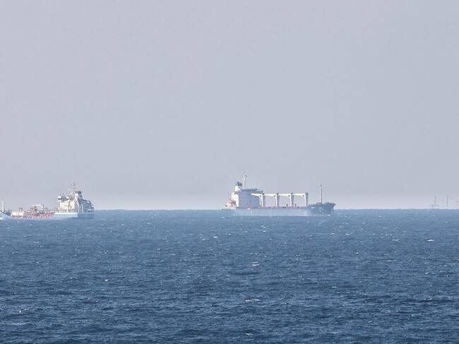 El primer barco Razoni que llega al puerto de Estambul con cereales de Ucrania