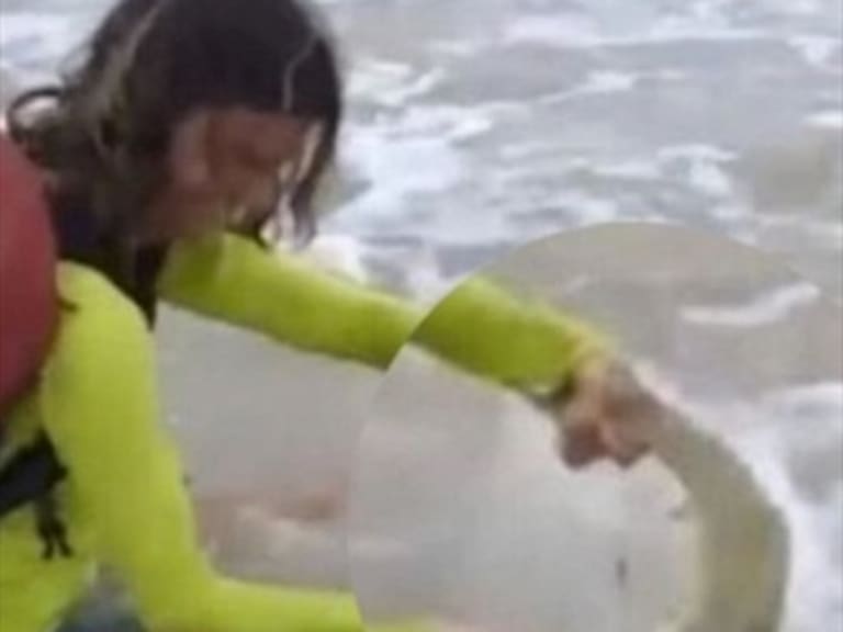 Tiburón muerde a turista que lo sacó del agua para tomarse una selfie