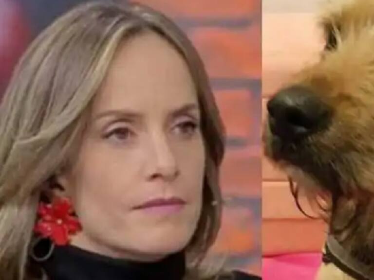 «Lo hice muy mal»: Diana Bolocco pidió perdón por como abordó el maltrato a Bigote en Gran Hermano