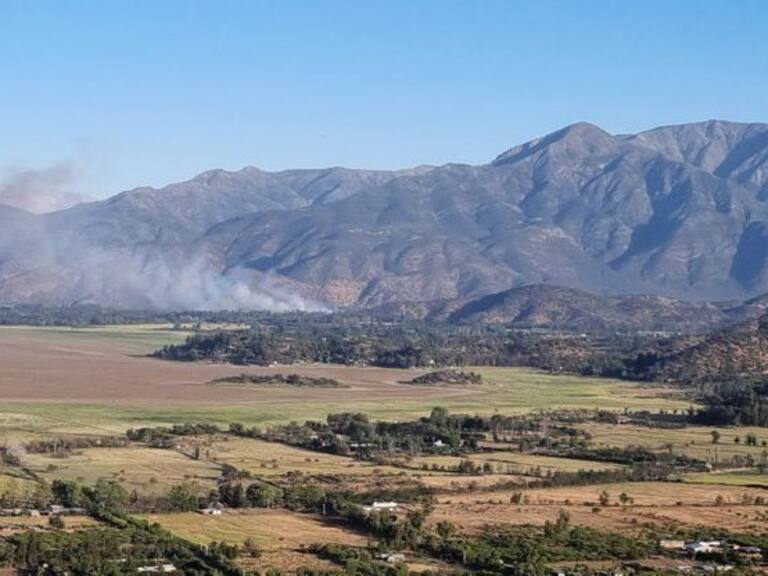 Alerta Roja por incendio forestal en Peralillo: casas destruidas y corte de energía 