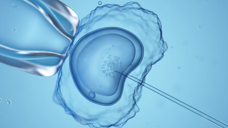 Marketing clínico: cinco terapias que prometen aumentar éxito de la fecundación in vitro y que carecen de evidencia científica