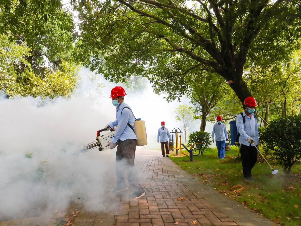 Alerta en China por chikungunya: qué es, cómo se contagia y cuáles son sus síntomas