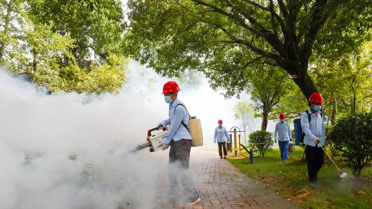 Alerta en China por chikungunya: qué es, cómo se contagia y cuáles son sus síntomas