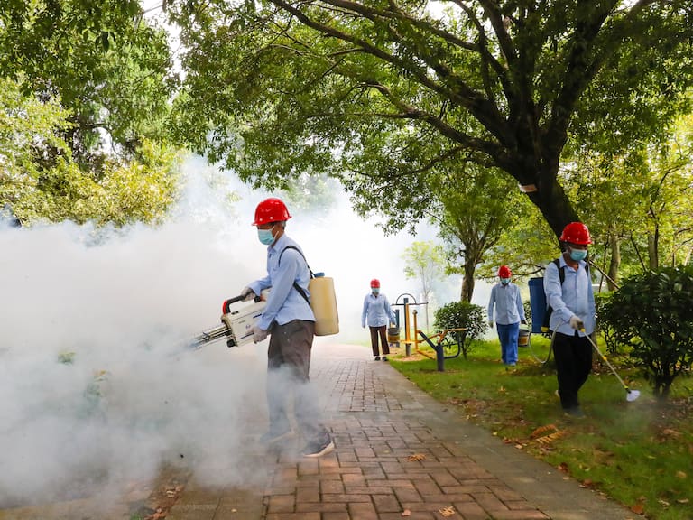 Alerta en China por chikungunya: qué es, cómo se contagia y cuáles son sus síntomas