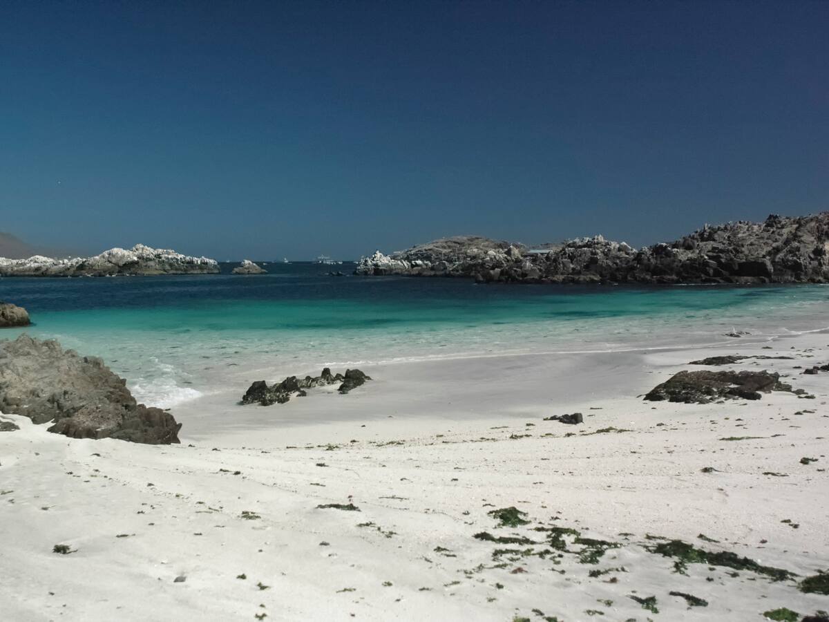 El caribe chileno: descubre las 4 atracciones imperdibles de Bahía Inglesa, según prestigiosa página