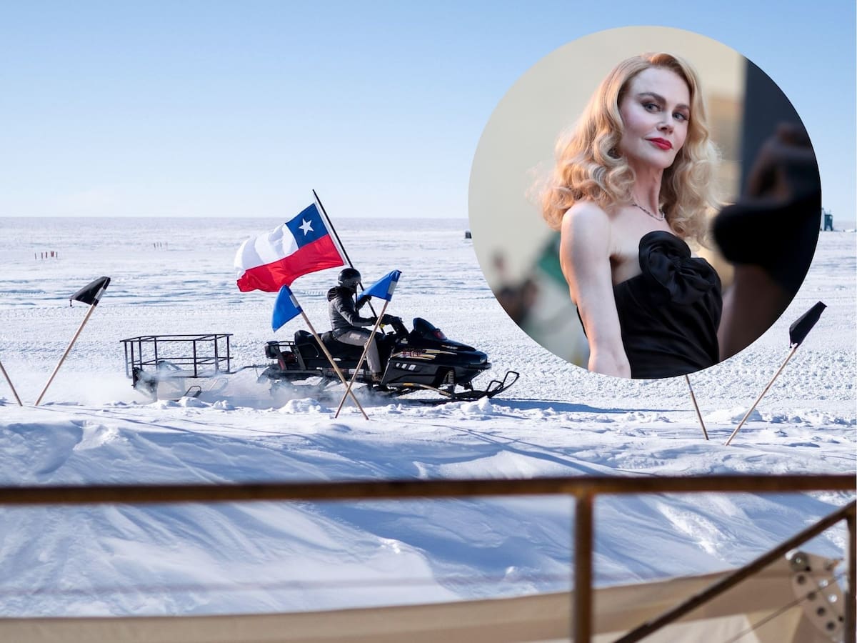 El viaje de las estrellas: esto cuesta la travesía a la Antártica que trajo a Nicole Kidman a Chile