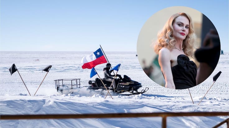 El viaje de las estrellas: esto cuesta la travesía a la Antártica que trajo a Nicole Kidman a Chile