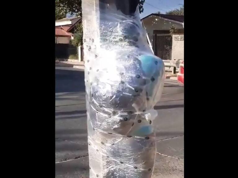 Detención ciudadana en Villa Alemana, sujeto amarrado con plástico a un poste