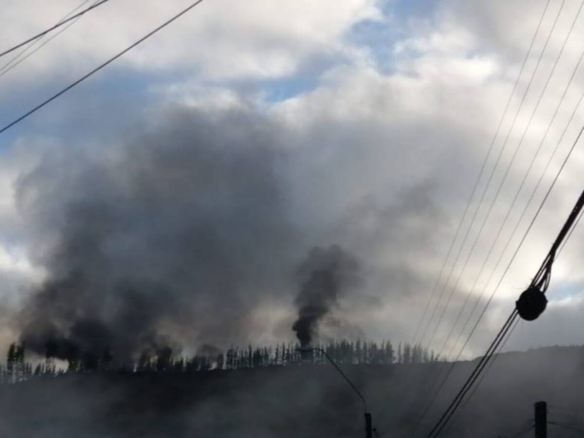 Nuevo ataque incendiario en Arauco: desconocidos quemaron maquinaria forestal en Lebu