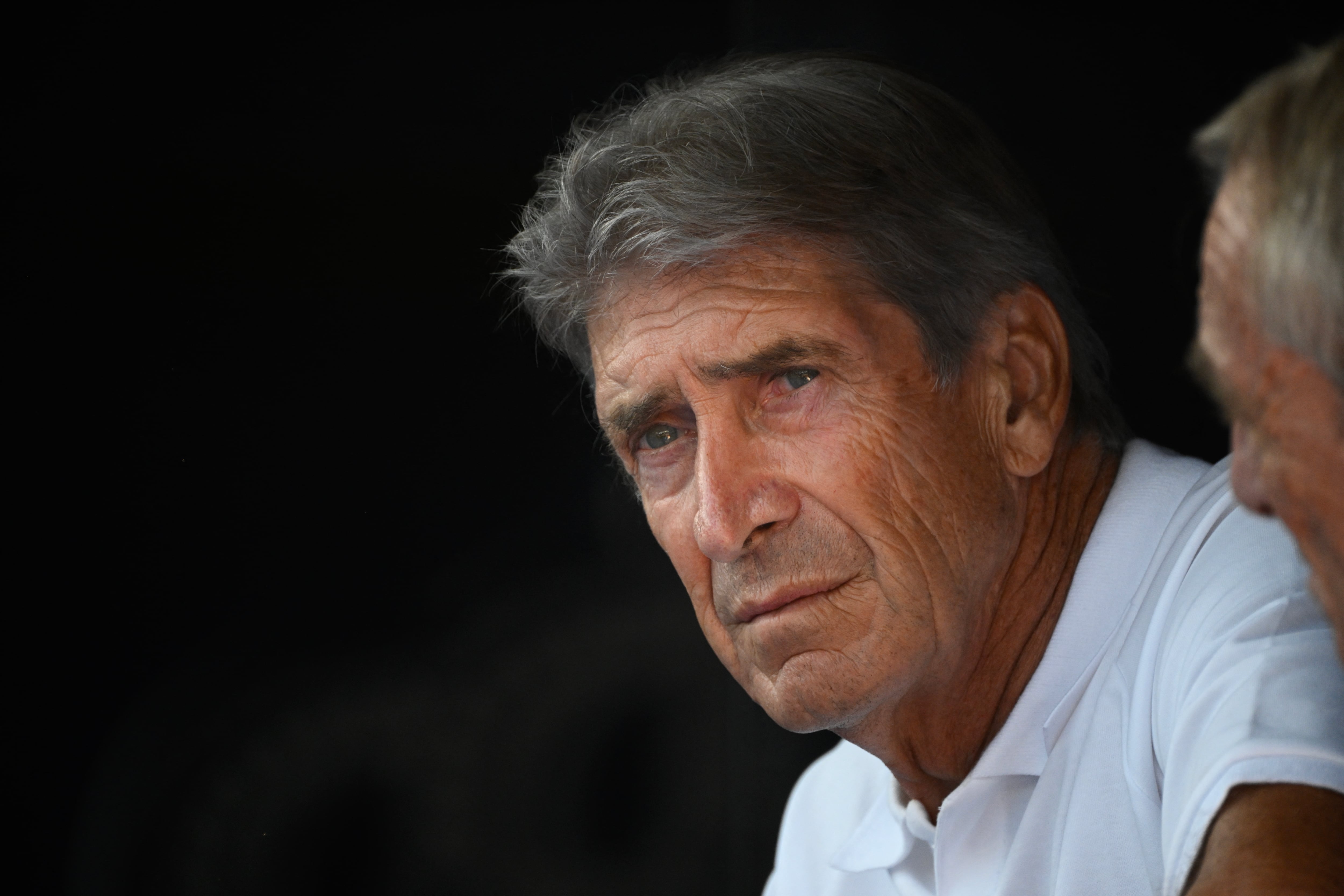Manuel Pellegrini