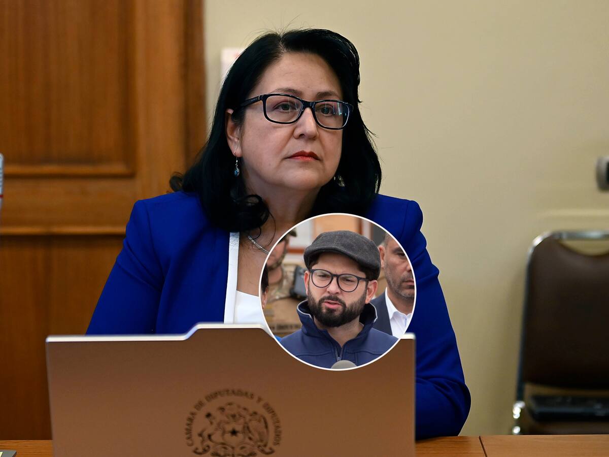 Dorothy Pérez explica el “estatuto especial” del Presidente respecto a la prescindencia electoral