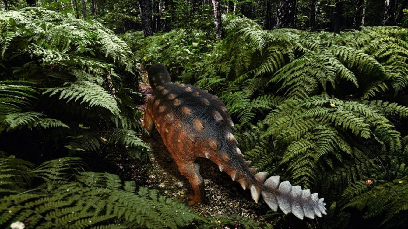 Nueva especie dinosaurio chilena