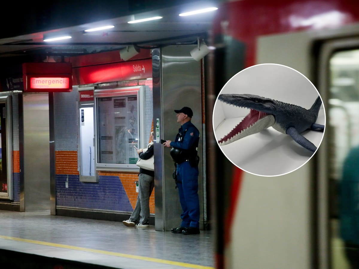“Que este compañero jurásico pueda volver a casa”: la campaña de Metro que permitió encontrar el juguete perdido de un niño