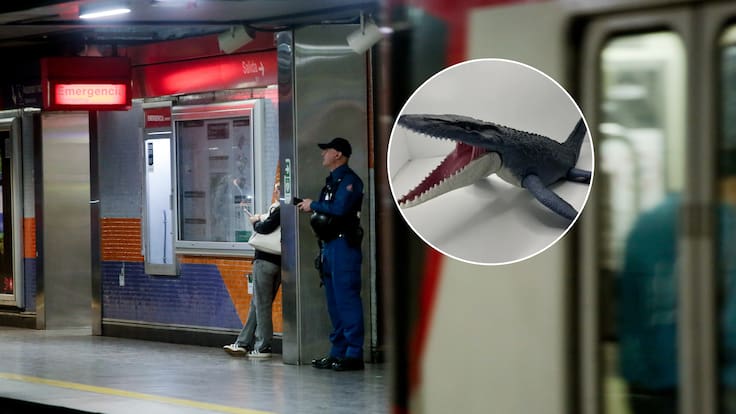 “Que este compañero jurásico pueda volver a casa”: la campaña de Metro que permitió encontrar el juguete perdido de un niño