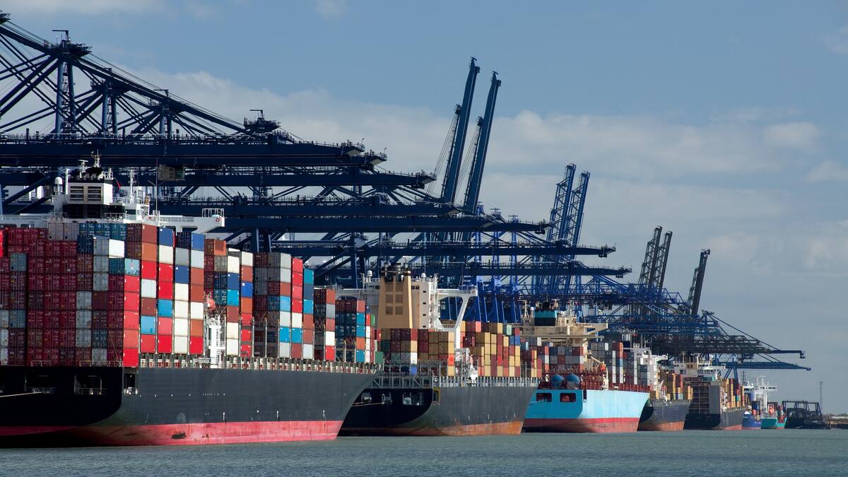 Récord histórico para las exportaciones chilenas: este fue el producto que casi triplicó sus ventas