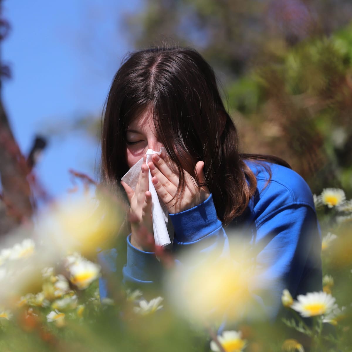 ¿Alergias más agresivas este año? Experta explica por qué la primavera será más intensa en Chile y cómo protegerse