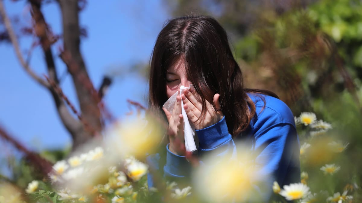 ¿Alergias más agresivas este año? Experta explica por qué la primavera será más intensa en Chile y cómo protegerse