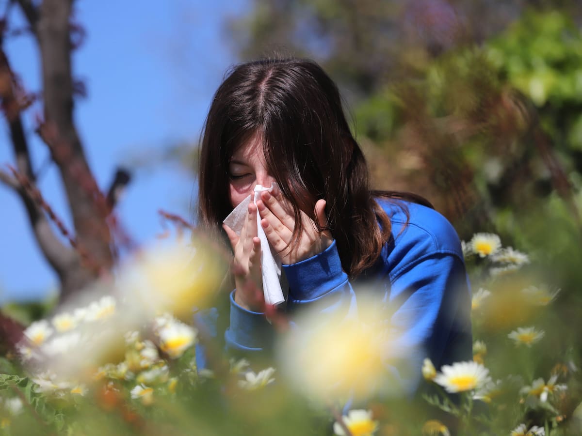 ¿Alergias más agresivas este año? Experta explica por qué la primavera será más intensa en Chile y cómo protegerse