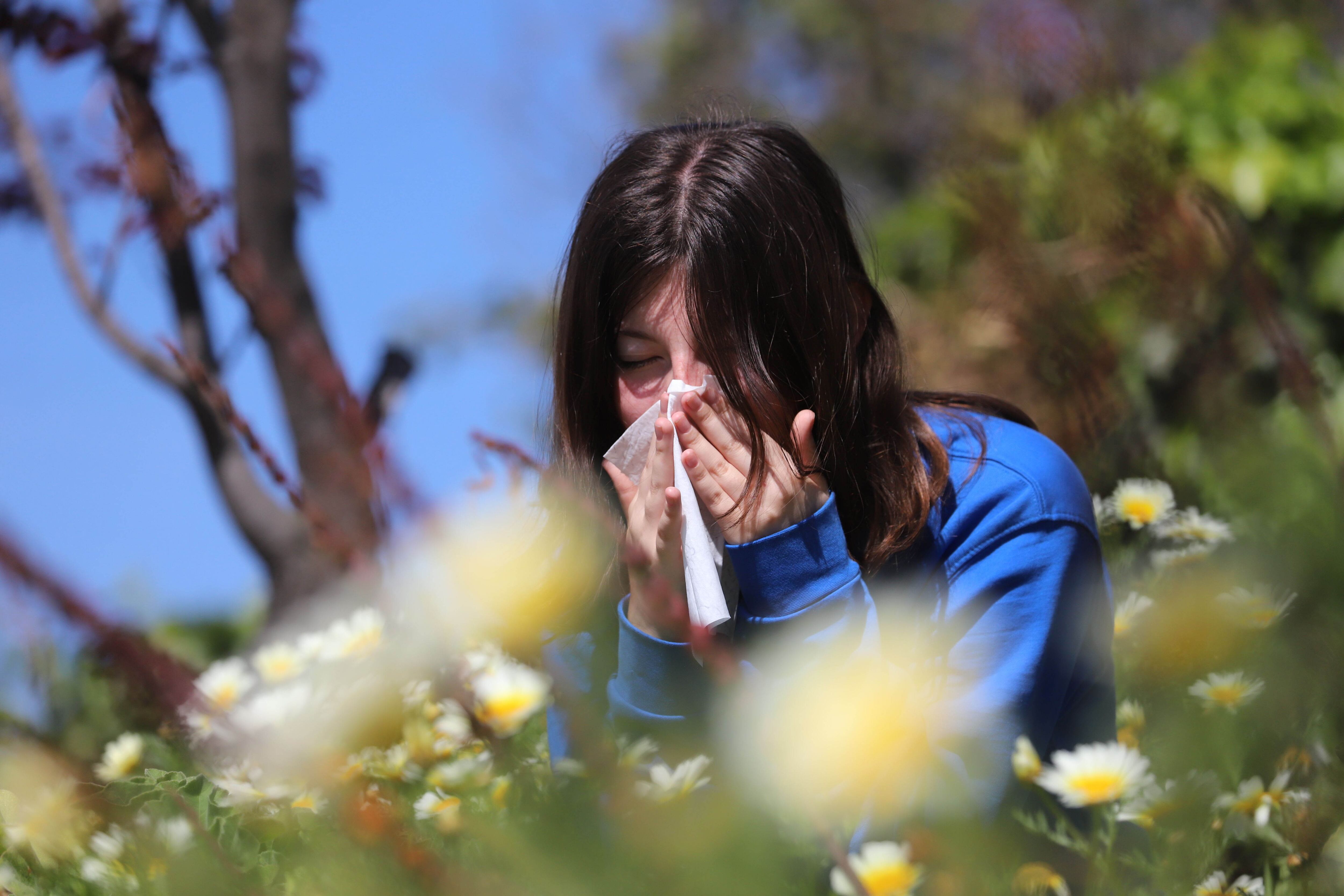 ¿Alergias más agresivas este año? Experta explica por qué la primavera será más intensa en Chile y cómo protegerse