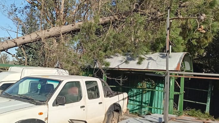 Fuertes vientos en el sur de Chile dejan 11 heridos y más de 200 casas con algún tipo de daño