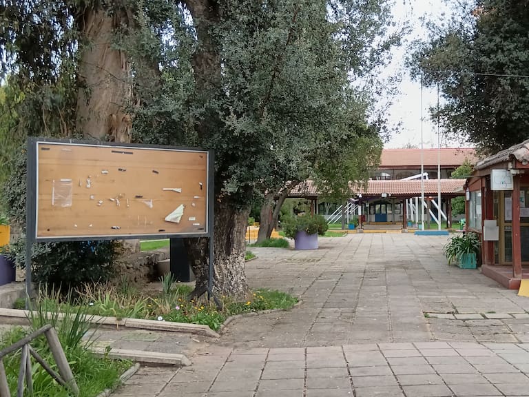 Municipalidad La Pintana | Cedida