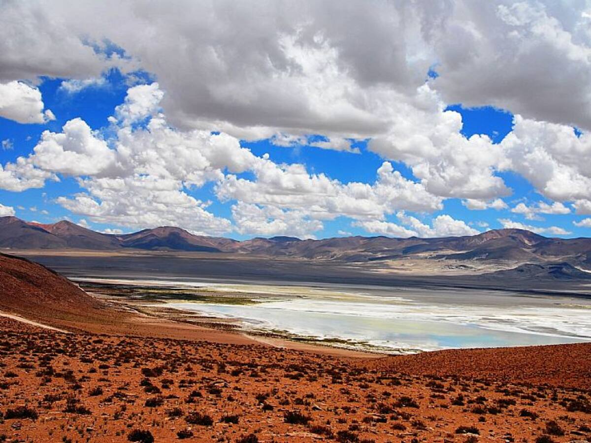 Estaba dentro de un auto: hallan a turista europeo muerto en el Salar de Huasco a más de 4 mil metros de altura
