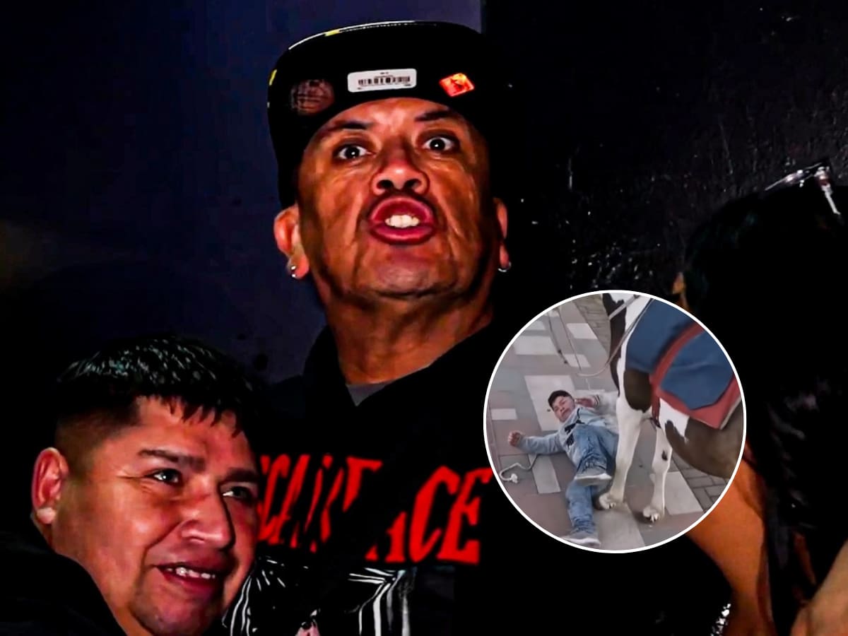 PDI da duro golpe a la delincuencia y devuelve la sonrisa a miembro del Torneo de Cell: icónico androide sufrió un robo
