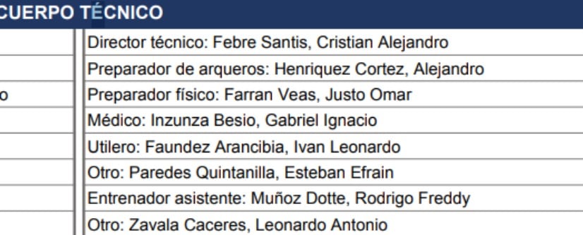 Informe arbitral de Diego Flores