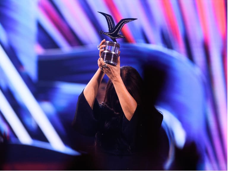 Gaviota de Platino en Viña 2026: los únicos artistas de esta edición que podrían recibir el máximo galardón