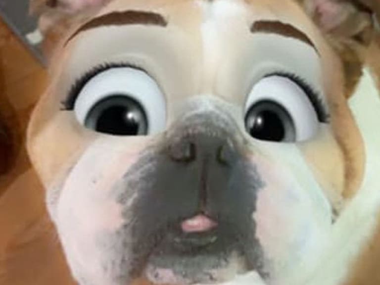 Nuevo filtro de Snapchat te permitirá convertir a tus mascotas en personajes dignos de Disney