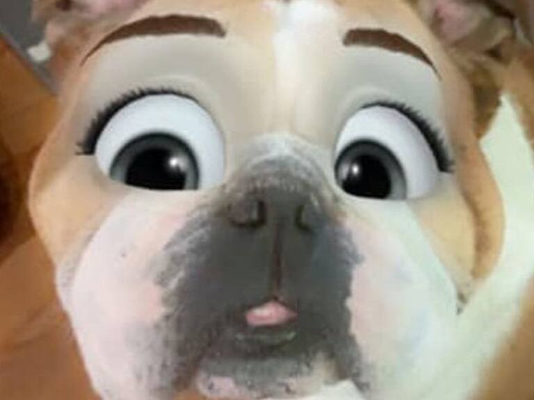 Nuevo filtro de Snapchat te permitirá convertir a tus mascotas en personajes dignos de Disney