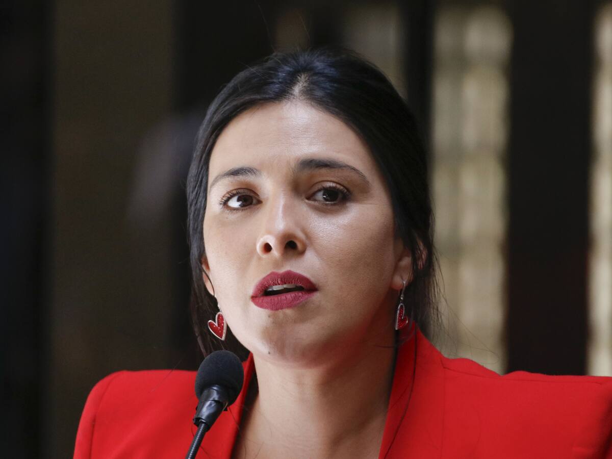 Karol Cariola declara ante fiscalía por caso Chinamart: senadora asegura “no haber recibido ningún tipo de beneficio”