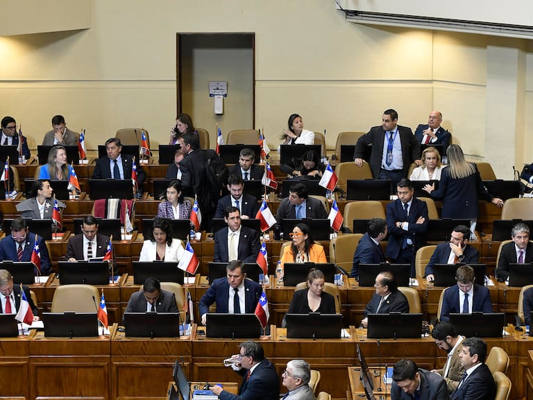 Casi 500 indicaciones: la intensa disputa legislativa por el controvertido proyecto de conmutación de penas