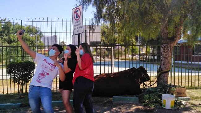 Selfie con el toro en Estación Central