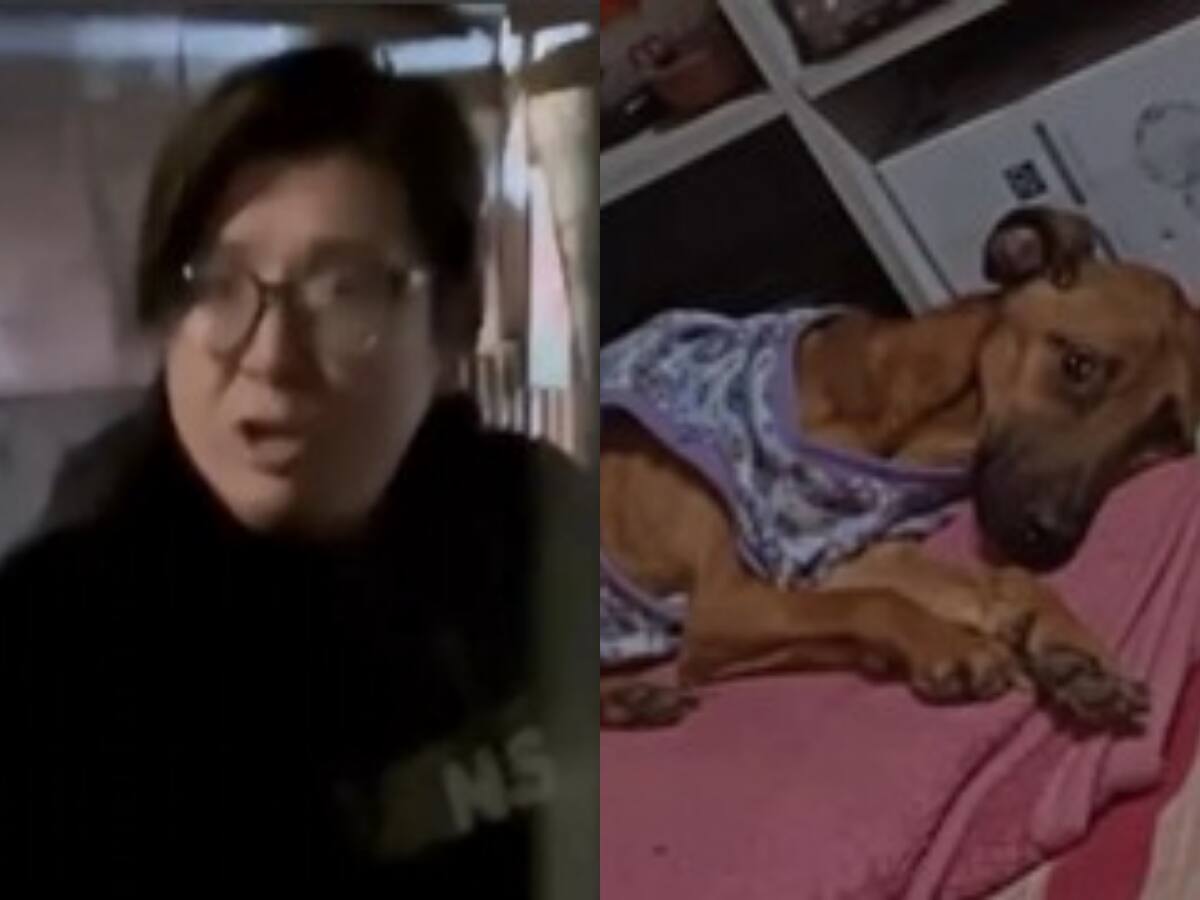 Creador de contenido es acusado de maltrato animal: vecinos intentaron rescatar a la mascota