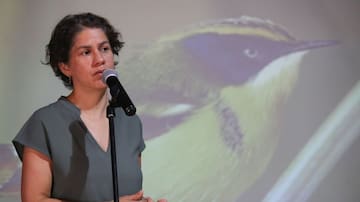 Día Nacional del Medioambiente: los desafíos frente a «las consecuencias que estamos viviendo hoy»