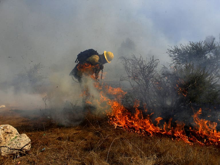 Conaf actualiza en más de mil las hectáreas consumidas por incendio forestal en María Pinto