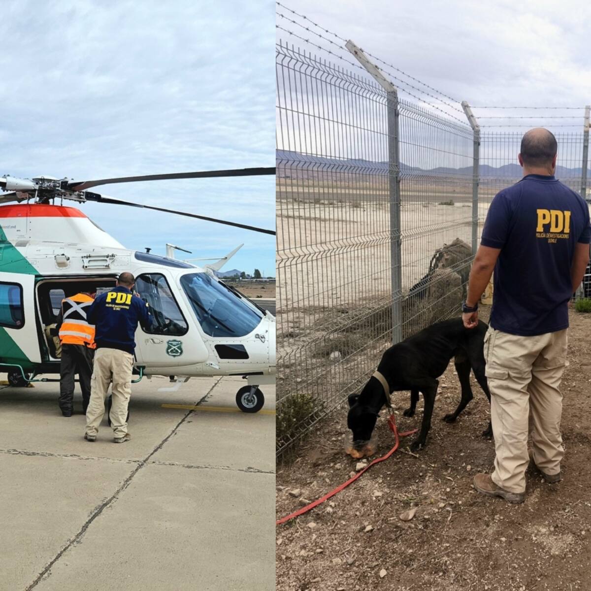 Hallan muerta a mujer de 84 años en Alto del Carmen y rescatan a su perro tras operativo en helicóptero