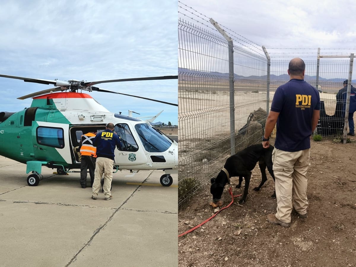 Hallan muerta a mujer de 84 años en Alto del Carmen y rescatan a su perro tras operativo en helicóptero