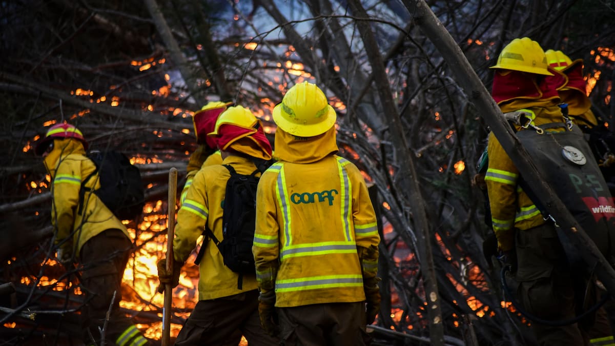 Megaincendio de Valparaíso: formalizarán a dos exfuncionarios de Conaf por la muerte de 138 personas