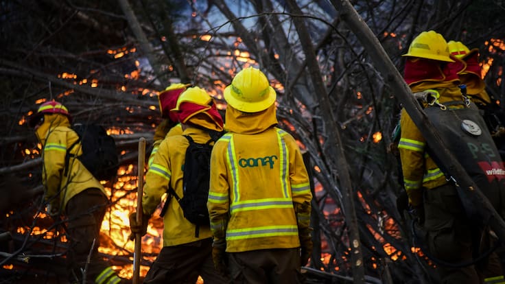 Alerta Roja en Litueche: Cinco viviendas destruidas y 400 hectáreas consumidas deja violento incendio forestal