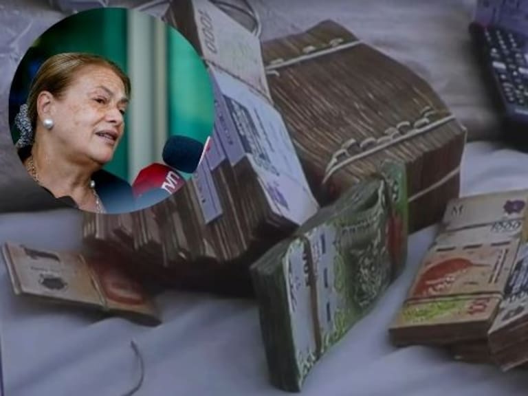 La ex jueza Ángela Vivanco.FOTO: HANS SCOTT/AGENCIAUNO