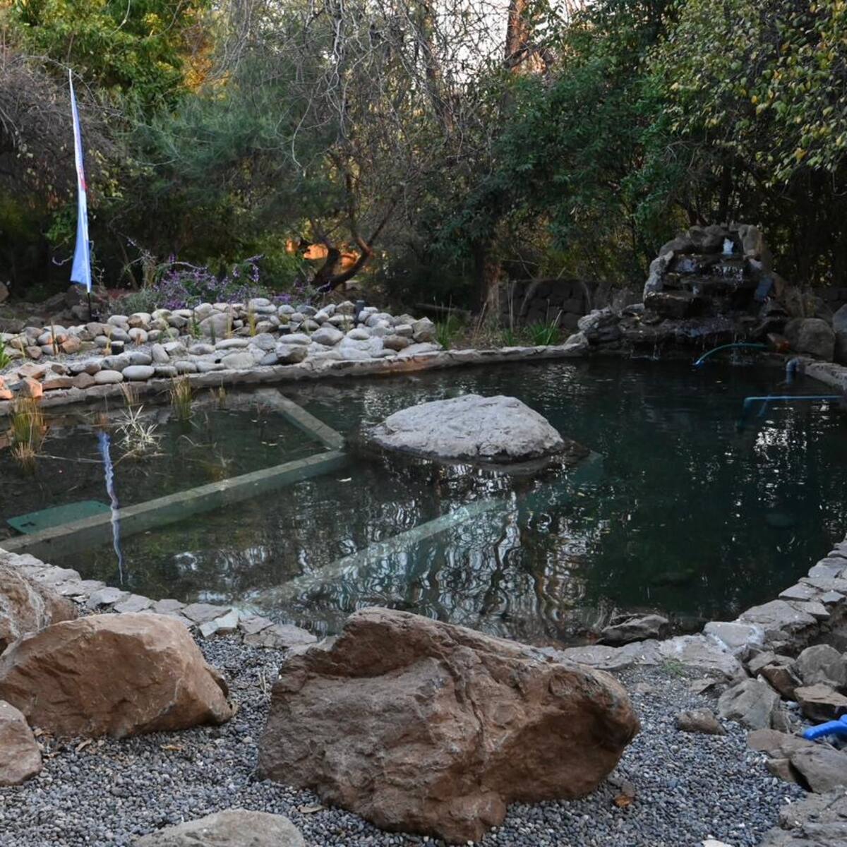 Región Metropolitana inaugura su primer “Humedal de Bolsillo” en La Reina: reutilizará hasta 2.500 litros de agua al día