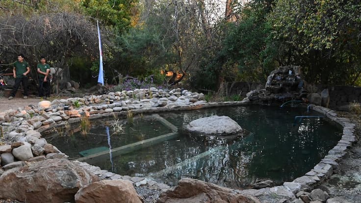Región Metropolitana inaugura su primer “Humedal de Bolsillo” en La Reina: reutilizará hasta 2.500 litros de agua al día